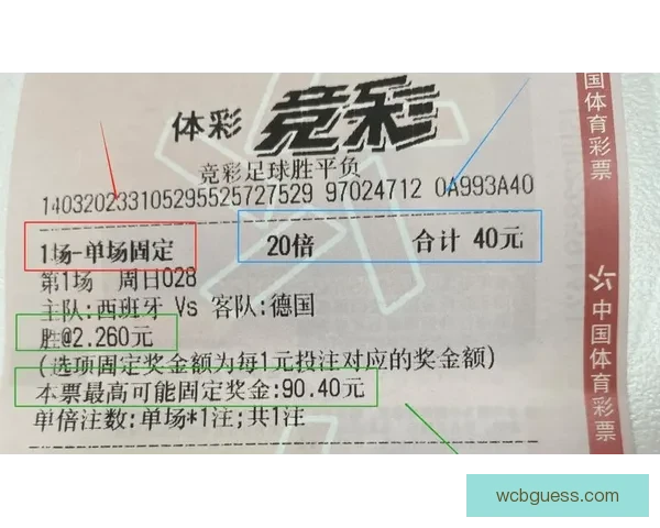 世界杯竞猜APP投注攻略助你赢得赛事预测赢取丰厚奖金